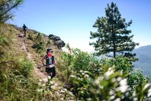 BIB: 
                            <button type="button" onclick="openModal(26608446)" class="btn btn-primary btn-sm float-right btn-popup" data-toggle="modal" data-target=".modal-high-quality">
                        <i class="fas fa-shopping-cart"></i> Add to Cart
                    </button>
                                            <button type="button" onclick="isThisMe(26608446, true)" class="btn btn-success btn-sm float-right btn-popup btn-isme hidden" data-toggle="tooltip" data-placement="bottom" title="นี่คือรูปของคุณใช่ไหม คลิกที่นี่เพื่อเอาเข้าอัลบั้ม">
                        <i class="fas fa-plus"></i> Add to album
                    </button>
                    <button type="button" onclick="isThisMe(26608446, false)" class="btn btn-warning btn-sm float-right btn-popup btn-isnotme hidden">
                        <i class="fas fa-ban"></i> Remove from album
                    </button>